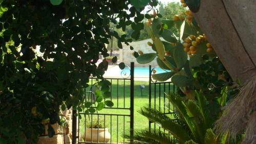 Masseria Cianciò