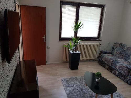 Apartments Cvetkovic Relax - image 2
