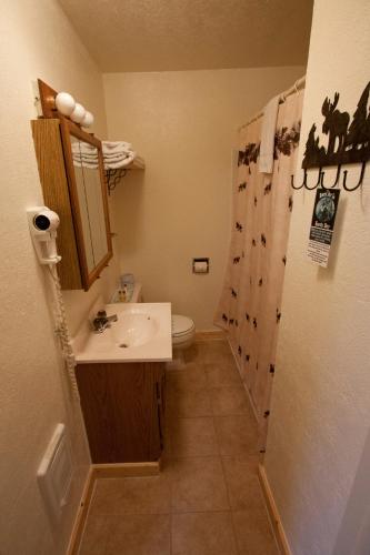 Falls Motel - image 6