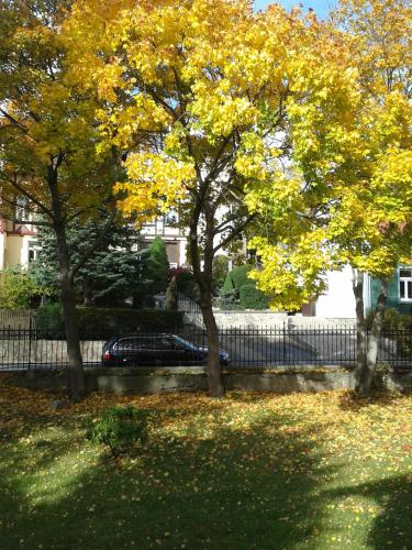 Pension Haus Marga - image 11