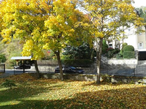 Pension Haus Marga - image 2