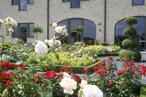 Indgang, B&B La Vie En Roses in Aalst