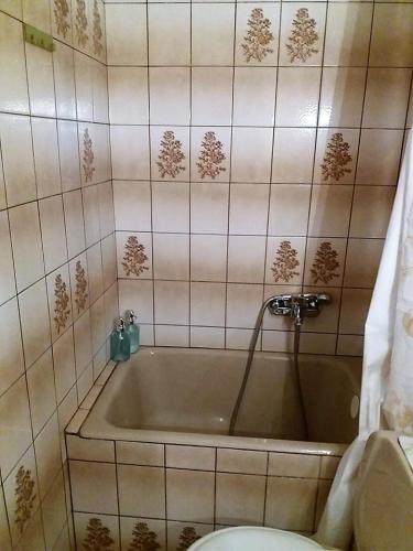 Homely Apartment - image 4