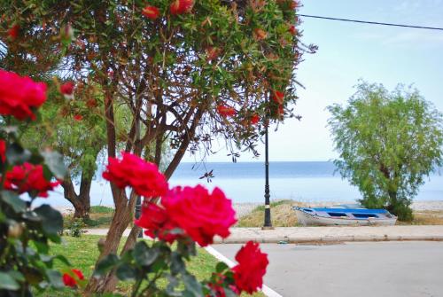  King Central Apartment Akrata, Pension in Akráta bei Stómion