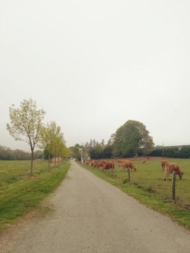 Les chalets de Bes "Le Campagnard "