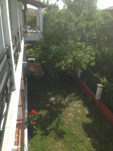 Hebes Studios, Kavos (Foto 6)
