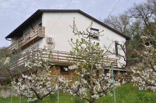 Apartma BAJČI 2