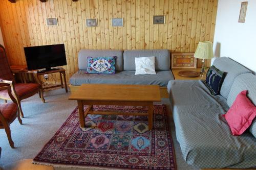  Ramuge COSY & MOUNTAINS apartments in Veysonnaz