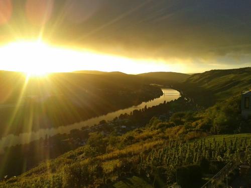 Apartment an der Mosel 1 - Graach