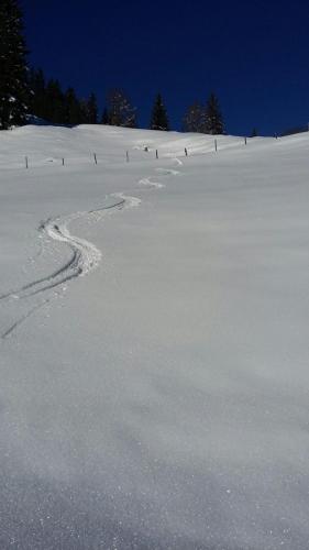 Programlehetőségek, Haus-Claudia in Viehhofen