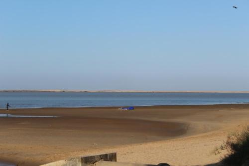 Les mobiles Homes de la Palmyre Les mobiles Homes de la Palmyre