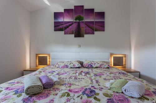  Miho, Unterkunft in Zadar