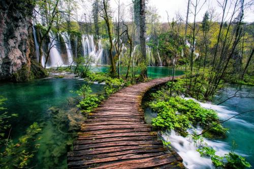 B&B Plitvice Lakes VILLA PRICA - image 4