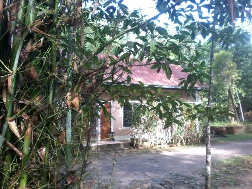 Suan Bang Bon Guest House