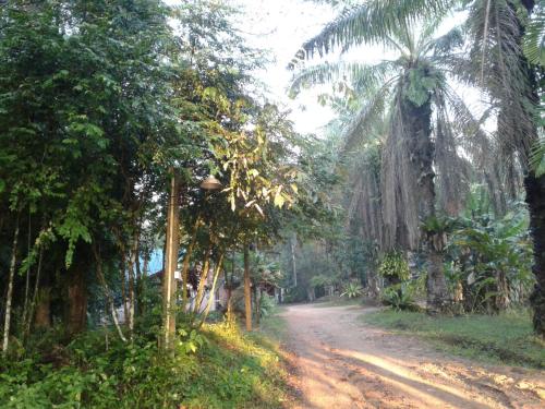 Suan Bang Bon Guest House