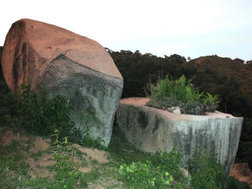 Hostel Finca La Gordita