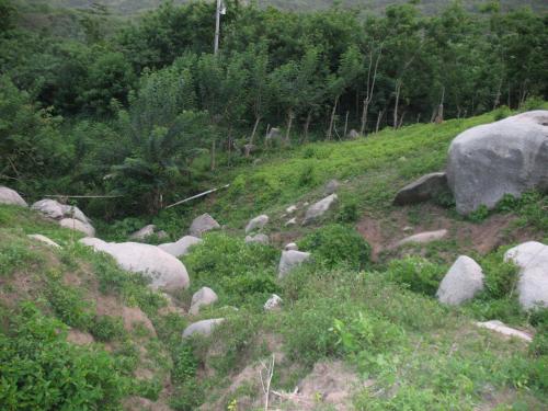 Hostel Finca La Gordita