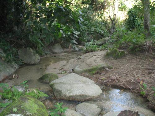 Hostel Finca La Gordita