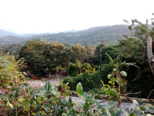 Hostel Finca La Gordita