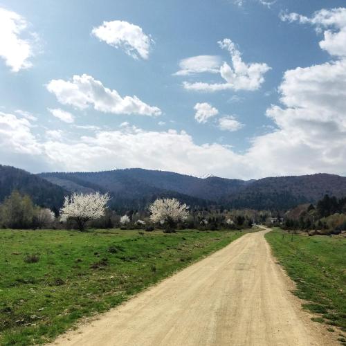 Pensiunea Stella - image 3