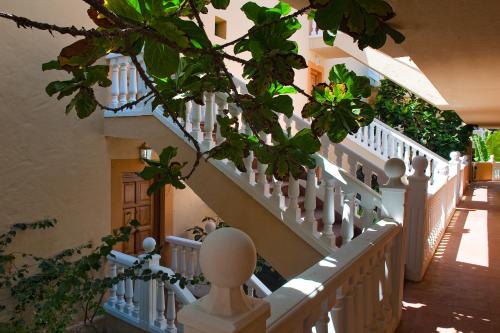 Elba Lucía Sport & Suite Hotel - image 3