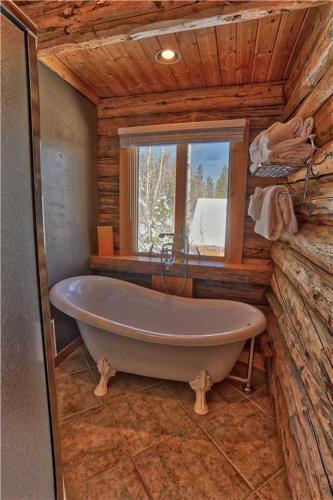 Black Bear Lodge (Private Home) - image 9