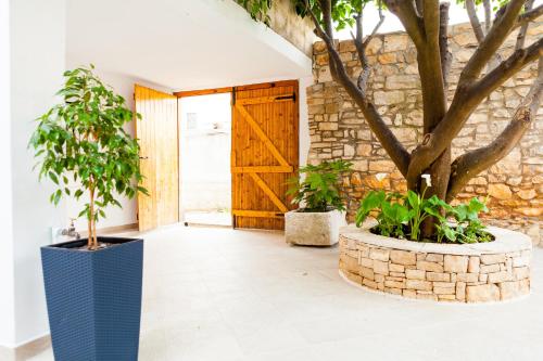 Kert, Guest House Mara in Vela Luka