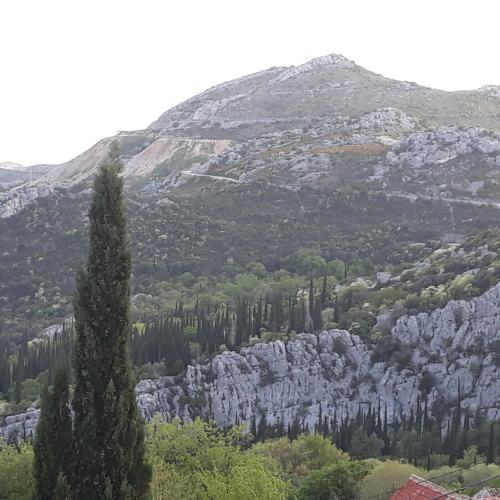 Antea in Dubrovnik