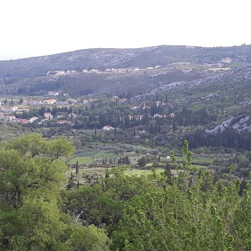 Antea in Dubrovnik