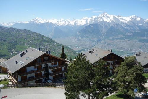  Ramuge COSY & MOUNTAINS apartments in Veysonnaz