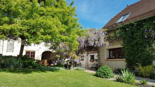 Chambres d'Hôtes Secret Pyrenées - image 8