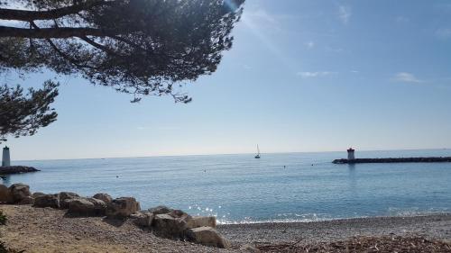 Dream French Riviera - Marina Baie des Anges - image 4