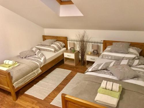 Apartment Matasic