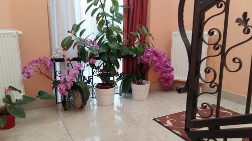 Hotel Isabell Győr - image 2
