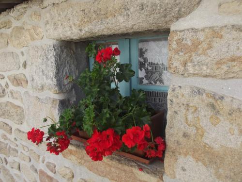 l'Auberge du fumoir d'Armen photo 19