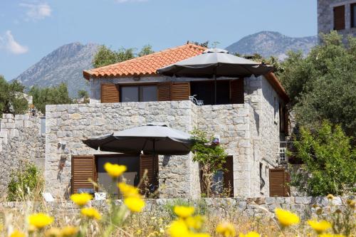  Leonidas in Agios Nikolaos