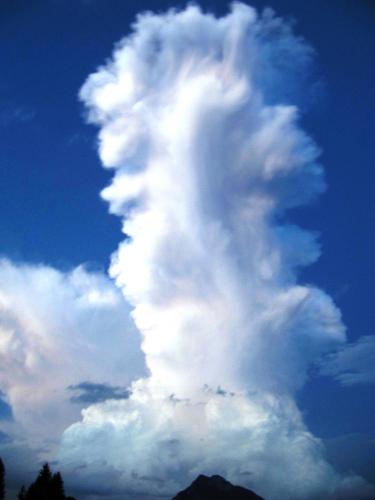 Bauernhof Unterhöfner - main image