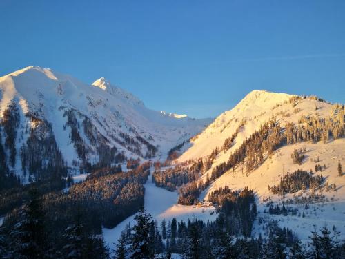 Alpenstern Hotel