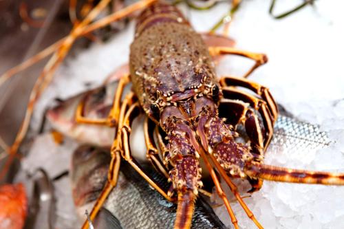 I Bastioni San Domenico - image 4