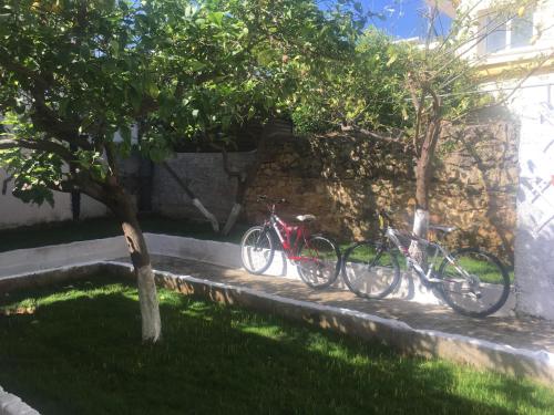 Cozy House in Argostoli