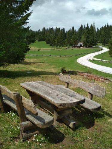 Pokljuka Triglav national park