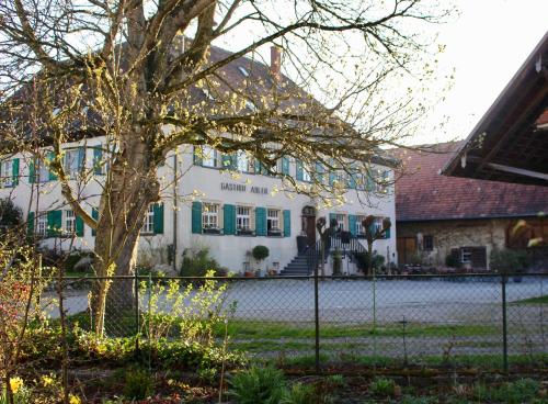 Adler Oberdorf in Langenargen