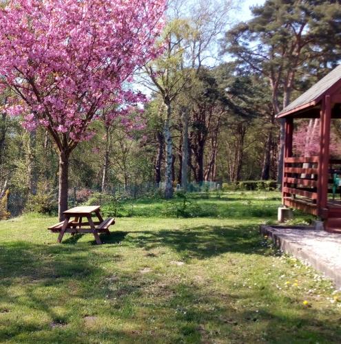 Camping les falaises de Toussaint