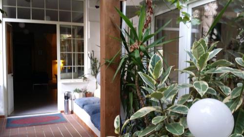 Kert, Hotel San Giorgio in Alassio