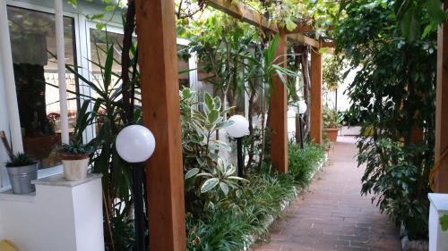 Kert, Hotel San Giorgio in Alassio
