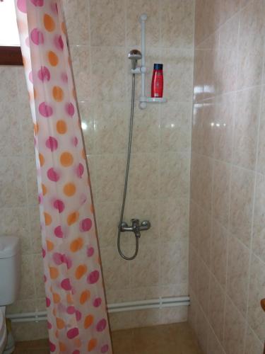 Aida Bed & Breakfast - image 9