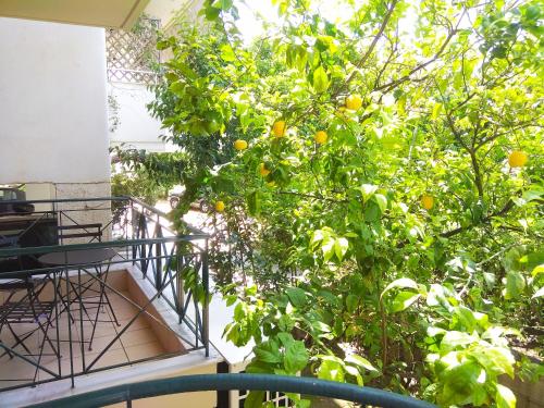 Limonchello, Kalamata (Foto 9)