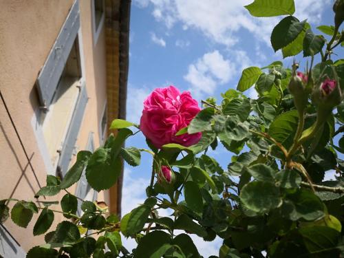 Maison d'Anvers - Accommodation - Valréas