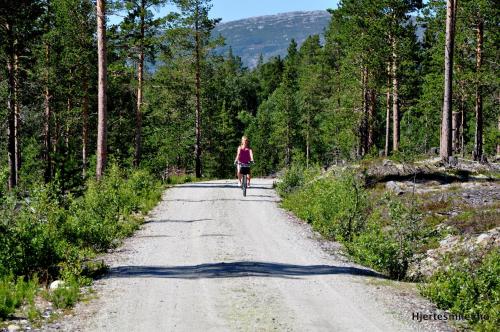 Lesjaskogvatnet Camping - image 10