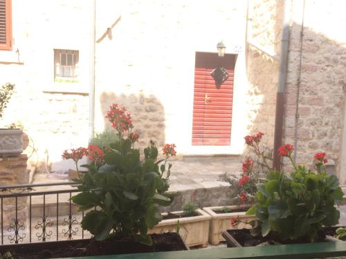 Apartment Ozana - main image